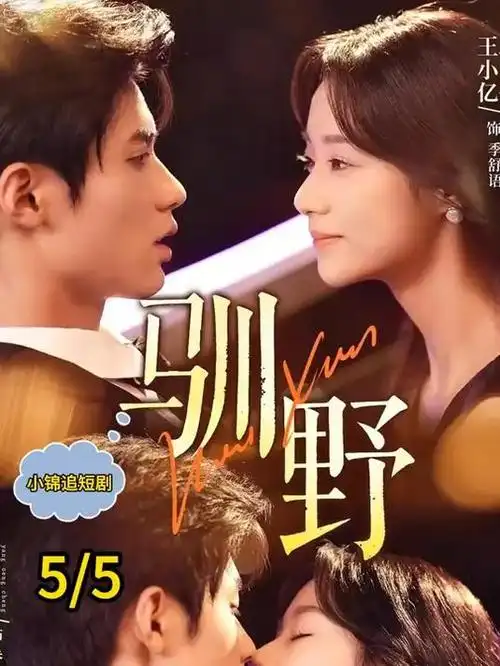 私人电影院历史剧北纬三十九度海报